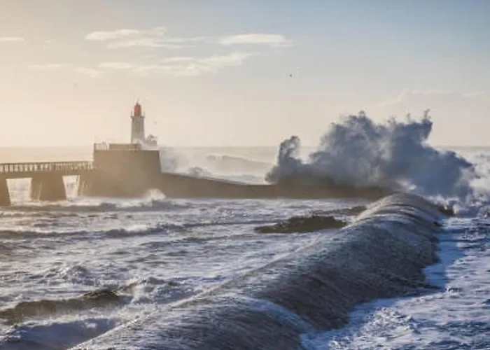 דירה T2, Terrasse Privative, Proche Et Commerces - Quartier Des Presidents, D'olonne - Fr-1-325-124